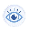 Vision Icon